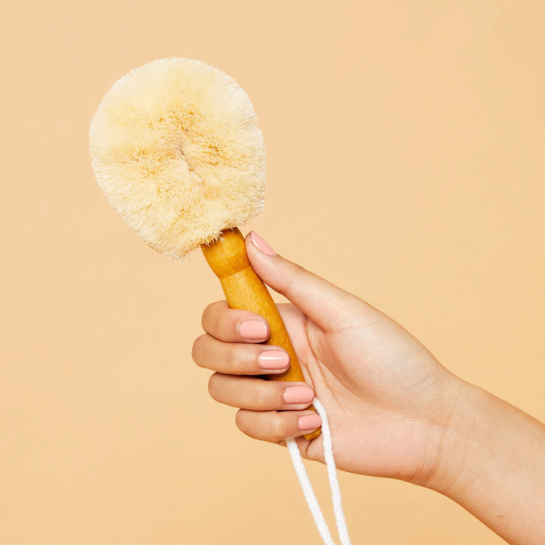 Skin Detox Kit: Dry Body Brush and Raw Coconut Oil